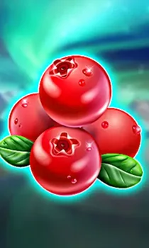 Winterberries